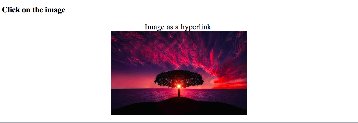 How To Add Hyperlinks In HTML